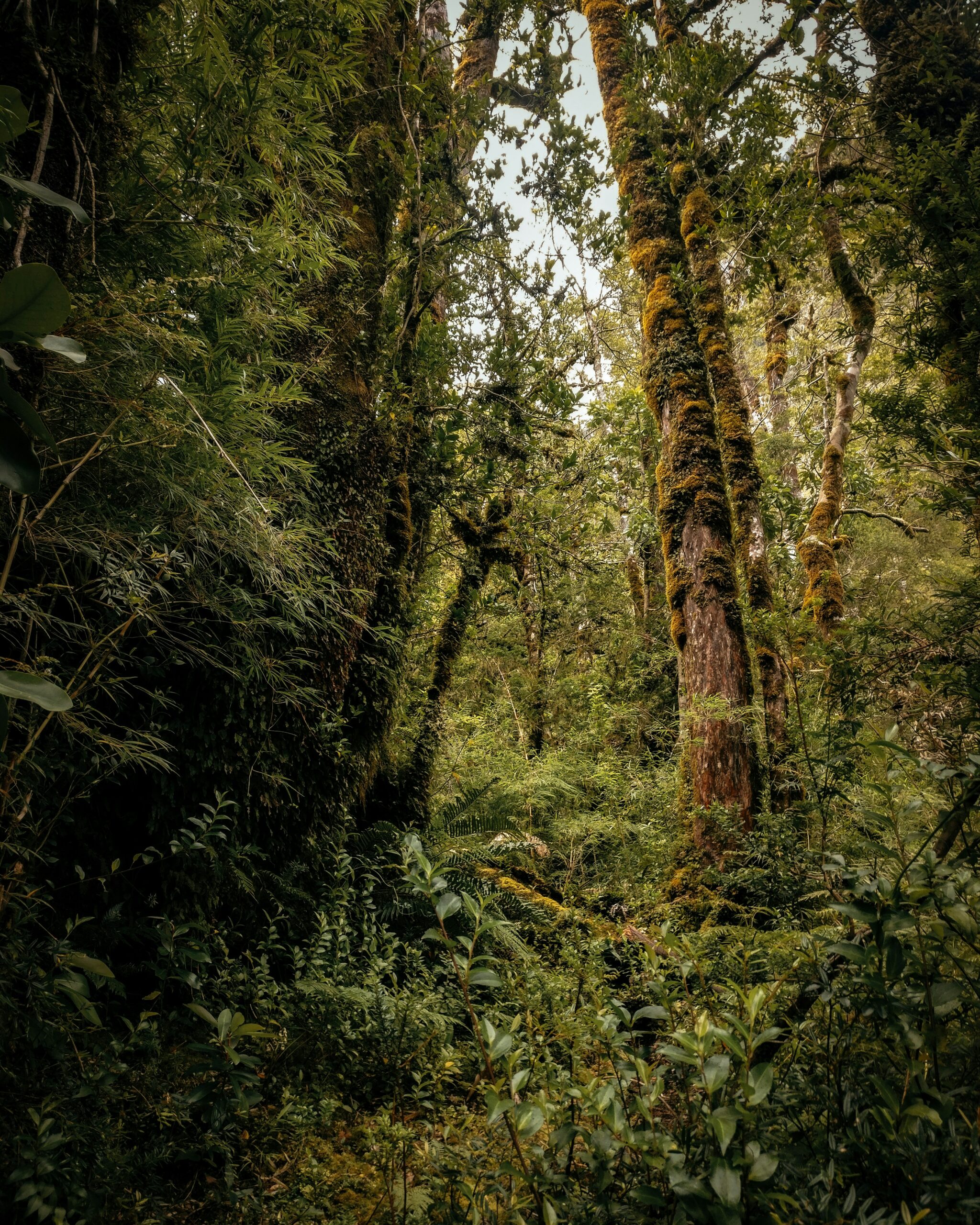 Santa Cruz Nationalparks